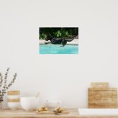 German Shepherd Jumping in Water Poster (Keuken)