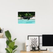 German Shepherd Jumping in Water Poster (Thuiskantoor)