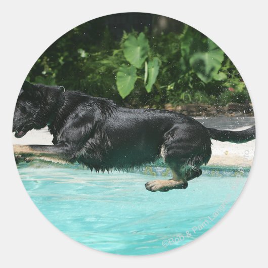 German Shepherd Jumping in Water Ronde Sticker (Voorkant)