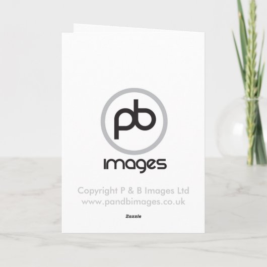 German Shepherd Kaart (Achterkant)