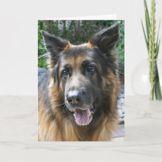 German Shepherd Kaart