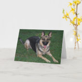 German Shepherd Kaart (Gele Bloem)