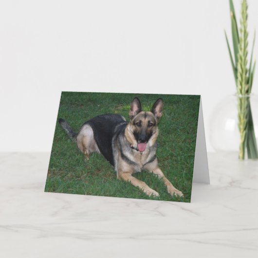 German Shepherd Kaart (Voorkant)