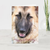 GERMAN SHEPHERD KAART (Voorkant)