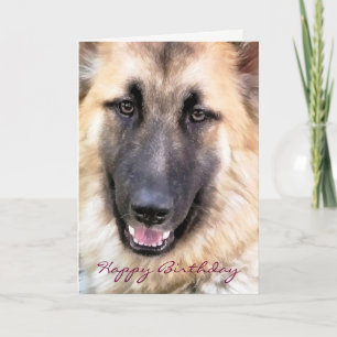 GERMAN SHEPHERD KAART