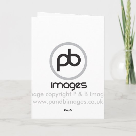 German Shepherd Kaart (Achterkant)