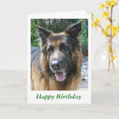 German Shepherd Kaart (Gele Bloem)