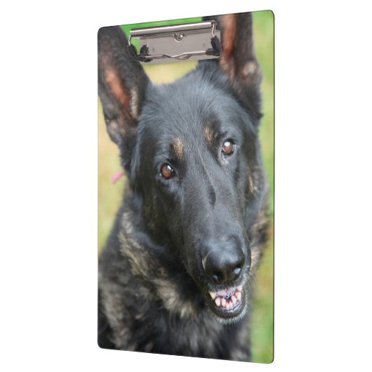 German Shepherd Klembord (Links)