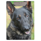 German Shepherd Klembord (Voorkant)