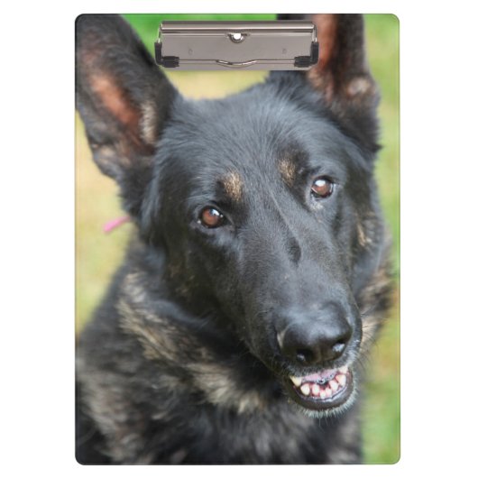 German Shepherd Klembord (Voorkant)