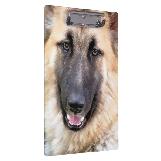 GERMAN SHEPHERD KLEMBORD (Rechts)