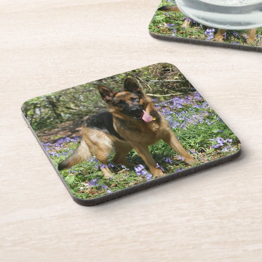 German Shepherd Laying Down Bier Onderzetter (Linkerzijde)