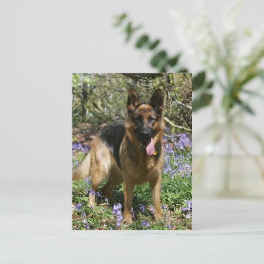German Shepherd Laying Down Briefkaart (Staand voorkant)