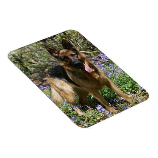 German Shepherd Laying Down Magneet (Rechterzijde)