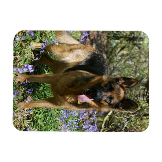 German Shepherd Laying Down Magneet (Horizontaal)