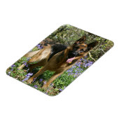German Shepherd Laying Down Magneet (Linkerzijde)