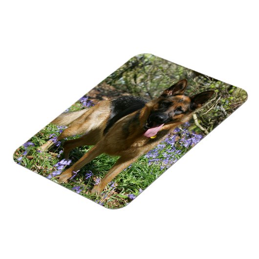 German Shepherd Laying Down Magneet (Linkerzijde)