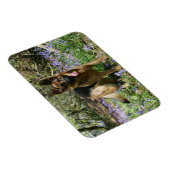 German Shepherd Laying Down Magneet (Rechterzijde)