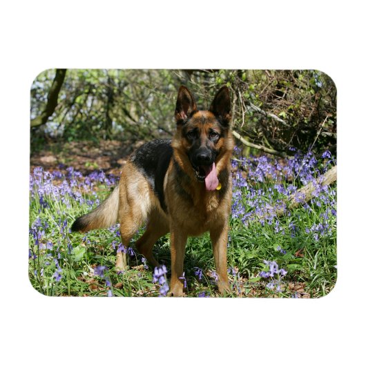 German Shepherd Laying Down Magneet (Horizontaal)