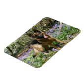 German Shepherd Laying Down Magneet (Linkerzijde)