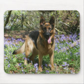 German Shepherd Laying Down Muismat (Voorkant)