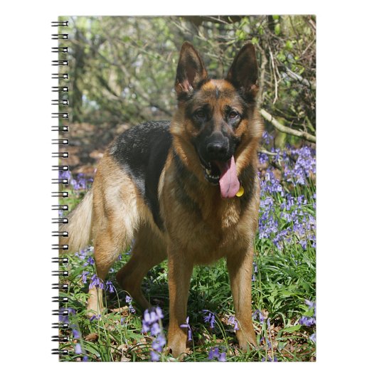 German Shepherd Laying Down Notitieboek (Voorkant)