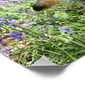 German Shepherd Laying Down Poster (Hoek)