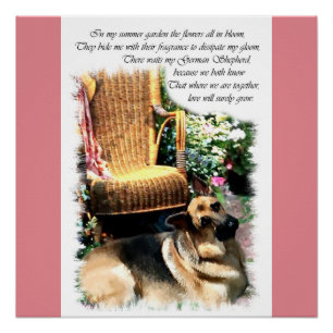 German Shepherd Love Gifts Perfect Poster