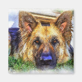 German Shepherd Magneet (Voorkant)