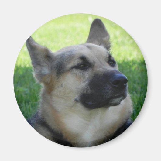 German Shepherd Magneet (Voorkant)