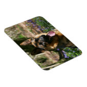 German Shepherd Magneet (Rechterzijde)