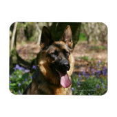German Shepherd Magneet (Horizontaal)