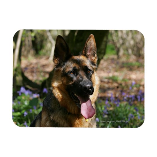 German Shepherd Magneet (Horizontaal)