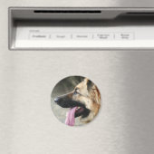 German Shepherd Magneet (Insitu (Vaatwasser))