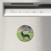 German Shepherd Magneet (Insitu (Vaatwasser))