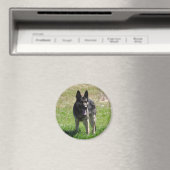 German Shepherd Magneet (Insitu (Vaatwasser))