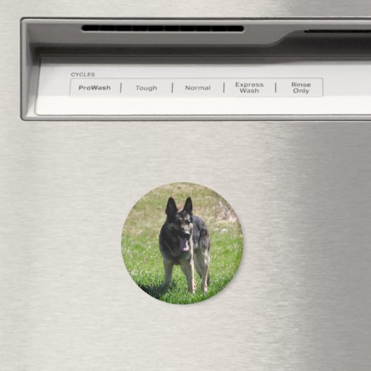 German Shepherd Magneet (Insitu (Vaatwasser))