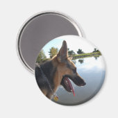 German Shepherd Magneet (Voorkant / Achterkant)