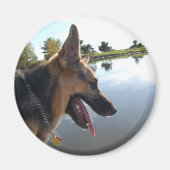 German Shepherd Magneet (Voorkant)