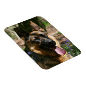German Shepherd Magneet (Rechterzijde)