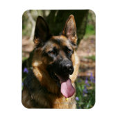 German Shepherd Magneet (Verticaal)