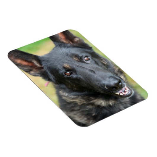 German Shepherd Magneet (Rechterzijde)