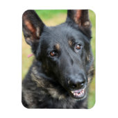 German Shepherd Magneet (Verticaal)