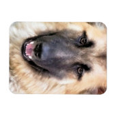 GERMAN SHEPHERD MAGNEET (Horizontaal)