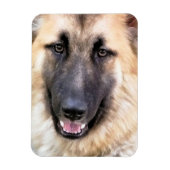 GERMAN SHEPHERD MAGNEET (Verticaal)
