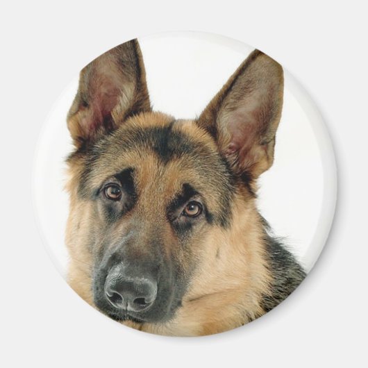 German Shepherd Magneet (Voorkant)