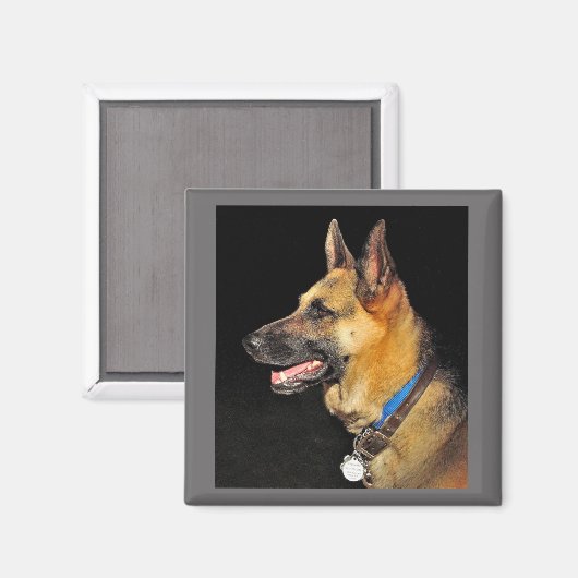 German Shepherd Magnet (Voorkant / Achterkant)