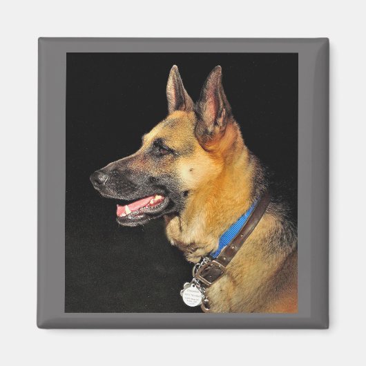 German Shepherd Magnet (Voorkant)