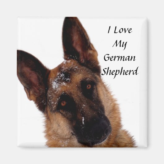 German Shepherd Magnet (Voorkant)