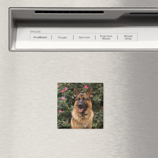 German Shepherd Magnet (Insitu (Vaatwasser))